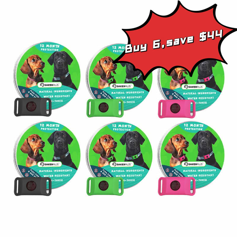 Flea and Tick Prevention Treatment 12-Month Protection for Dogsand Cats