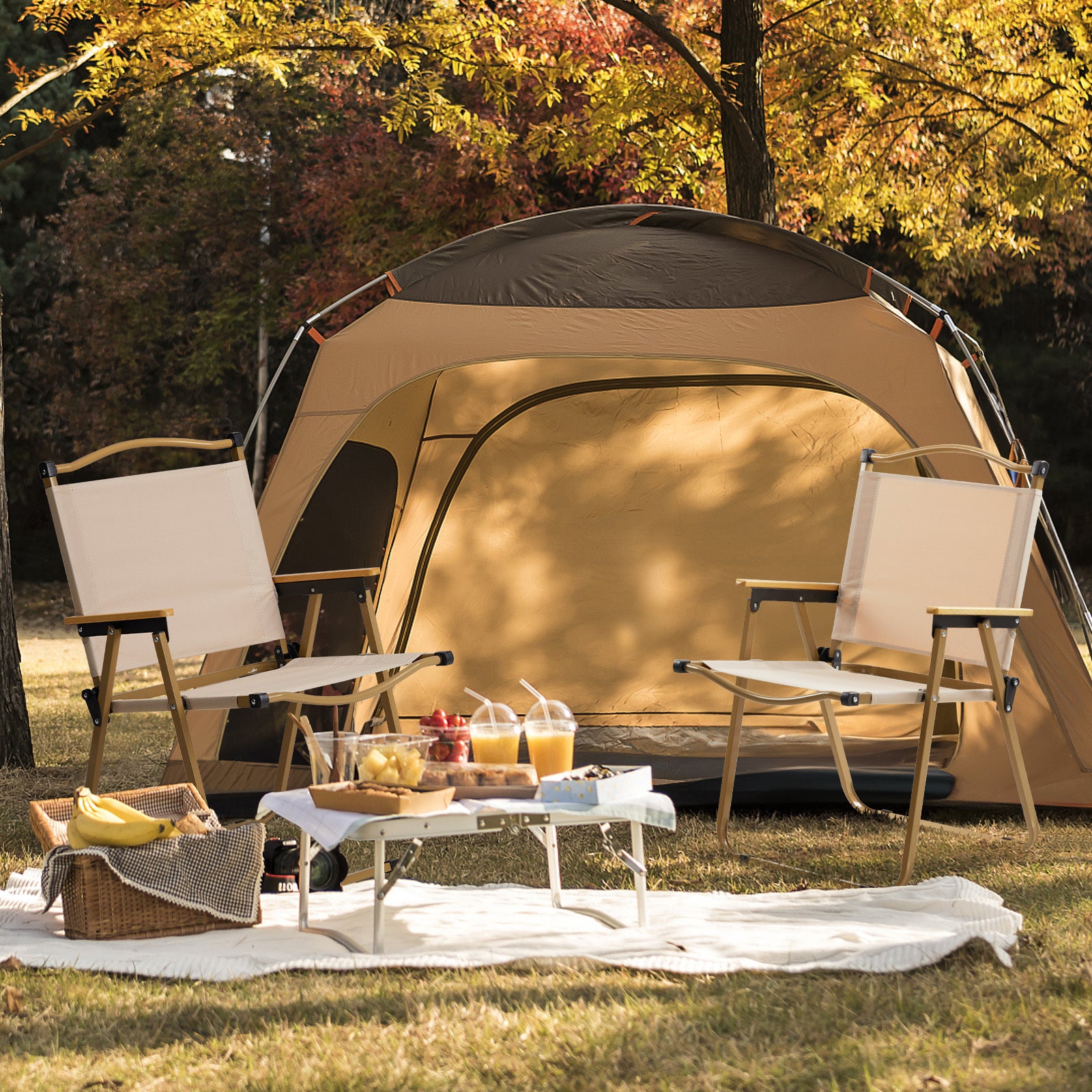 Camping Folding Table and Chairs Multi-style Combination Set Kermit Table