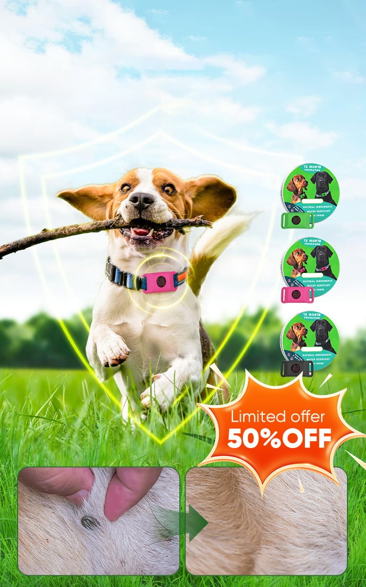12 Months Flea and Tick Free